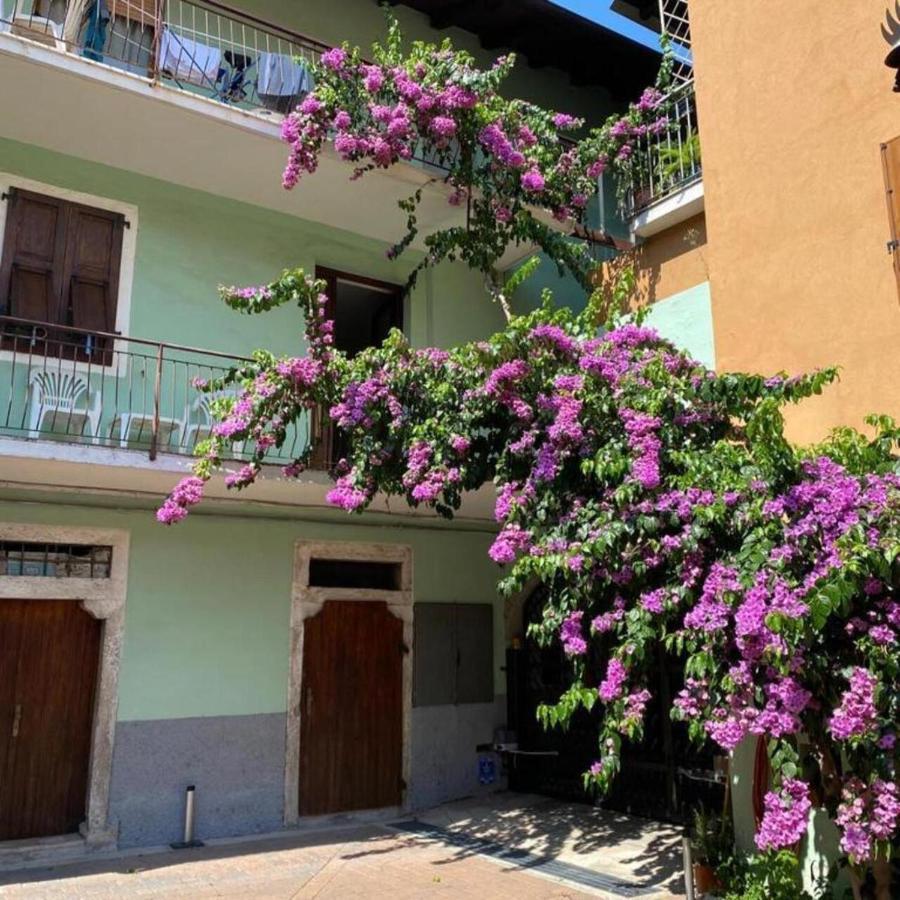 Casa Zanoni Apartment Torbole Sul Garda Bagian luar foto